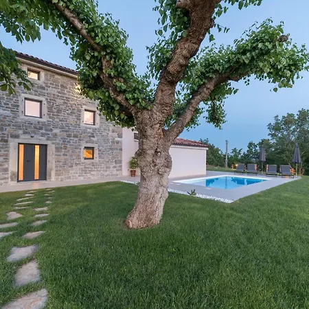 Fiore Marusici Umag